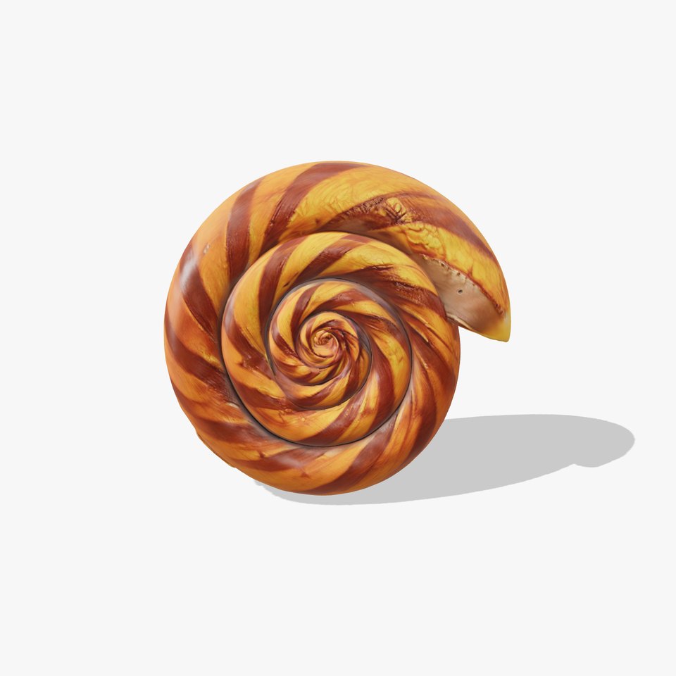 Spiral Shell Wooden model pack